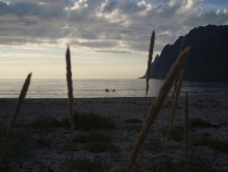 Ersfjord i Berg
