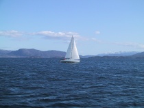 Seilbåt på Bjørnefjorden