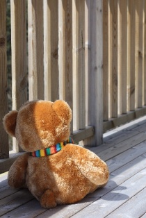 Forlatt bamse 