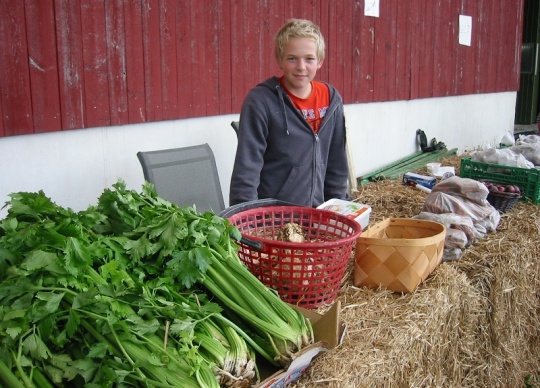 Elevene solgte egendyrkede økologiske grønnsaker fra gården