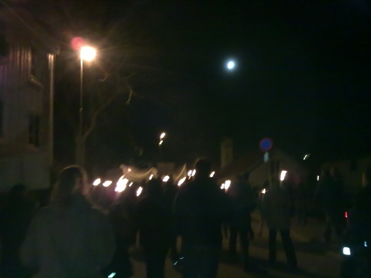 Demonstrasjon Vikan Velforening 08.11.11
