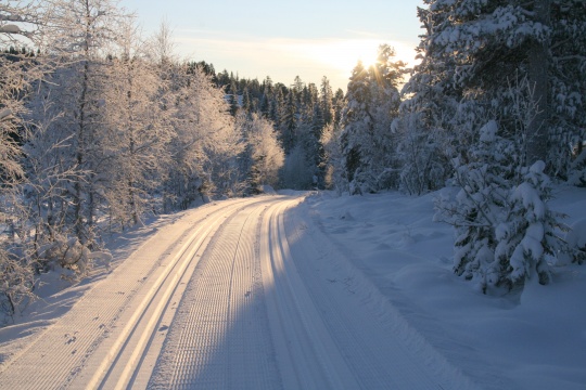 Skiløyper