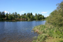  Langvannet i Lørenskog