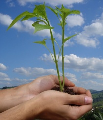  I dag er det 4 år siden Stortinget vedtok klimaforliket.