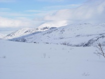 Brurskanken