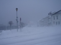 Risør i snøstorm