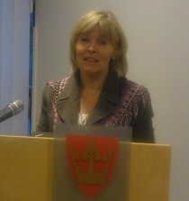 Karin S. Frøyd i fylkestinget