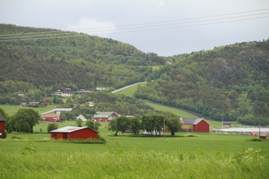 Skaret i Reinsgrenda