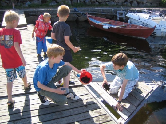 Krabbematen er klar! Oslofjorden - en naturperle også i framtida?