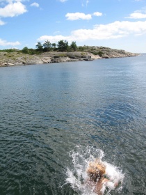  Bli med på en hyggelig sommersamling med Venstre!