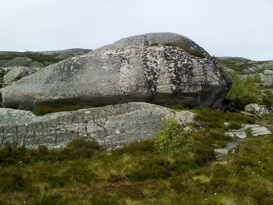 Hvalen på Skorpa