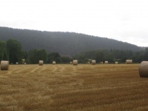 Halmballer, landbruk, korn