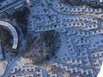 Julekongens rike