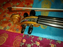 Fiolin