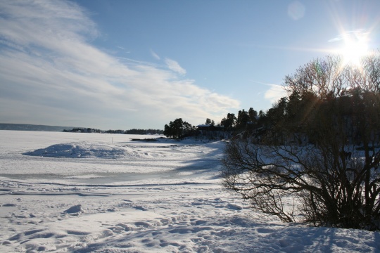  Dessverre inneholder planen åpning for stor utbygging i strandsonen og utfylling både i Holmenbukta og ved utløpet av Neselva. 