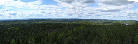  Østmarkas indre deler er det eneste skogsområdet på Østlandet som er så uberørt og har så store verneverdier at det egner seg som nasjonalpark.