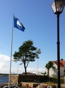  Vi må få slutt på forurensingen i sjø - også i fjordene!
