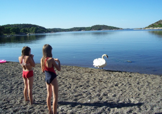 Vestfoldkysten har flotte muligheter for friluftsliv.