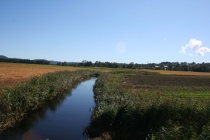 Børsesjø