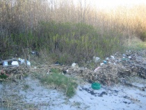  Mye søppel har drevet i land i løpet av vinteren