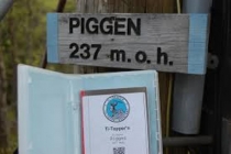 Piggen