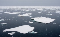 Klimaendringer Arktis
