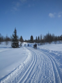 Skiløyper