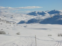 Silkedalen, Vinje kommune i Telemark