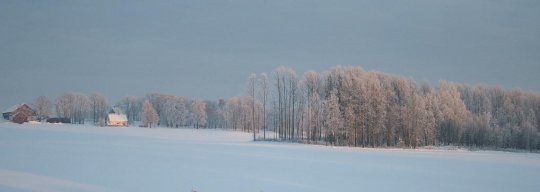 Miljø