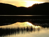 Solnedgang ved tjernet, vann