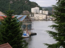 Fiskeindustri